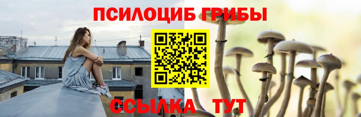 Галлюциногенные грибы Psilocybine cubensis  Вход с VPN  Можга 